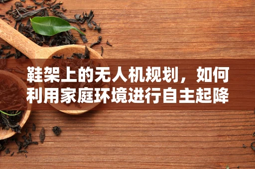 鞋架上的无人机规划，如何利用家庭环境进行自主起降？