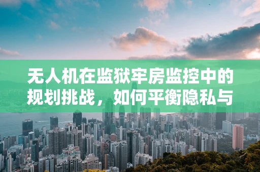 无人机在监狱牢房监控中的规划挑战，如何平衡隐私与安全？