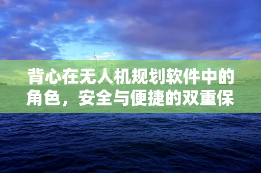 背心在无人机规划软件中的角色，安全与便捷的双重保障？