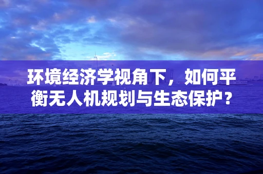 环境经济学视角下，如何平衡无人机规划与生态保护？