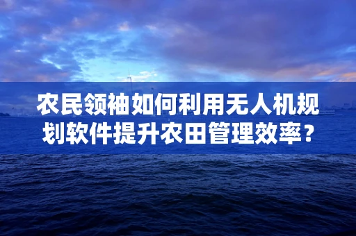 农民领袖如何利用无人机规划软件提升农田管理效率？