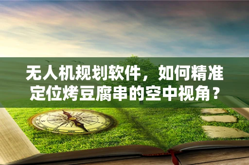 无人机规划软件，如何精准定位烤豆腐串的空中视角？