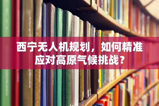 西宁无人机规划，如何精准应对高原气候挑战？