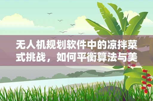 无人机规划软件中的凉拌菜式挑战，如何平衡算法与美食的创意？