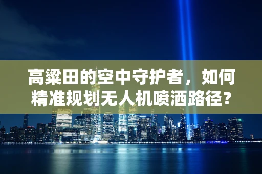 高粱田的空中守护者，如何精准规划无人机喷洒路径？