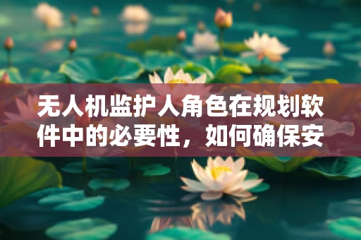 无人机监护人角色在规划软件中的必要性，如何确保安全与合规？