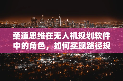 柔道思维在无人机规划软件中的角色，如何实现路径规划的灵活与高效？