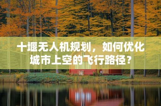 十堰无人机规划，如何优化城市上空的飞行路径？