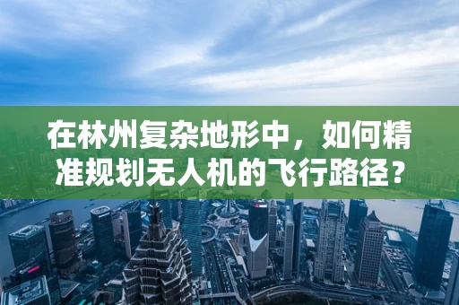 在林州复杂地形中，如何精准规划无人机的飞行路径？