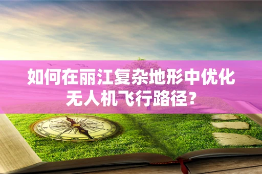 如何在丽江复杂地形中优化无人机飞行路径？