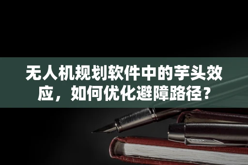 无人机规划软件中的芋头效应，如何优化避障路径？