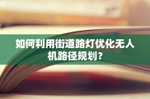 如何利用街道路灯优化无人机路径规划？