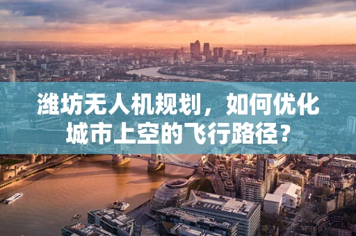 潍坊无人机规划，如何优化城市上空的飞行路径？