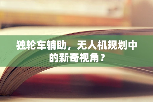 独轮车辅助，无人机规划中的新奇视角？