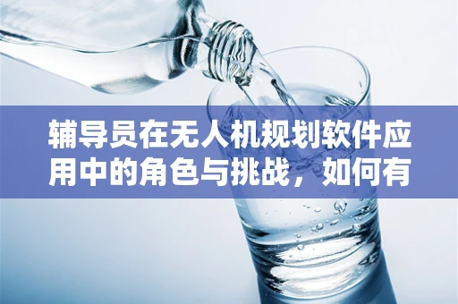 辅导员在无人机规划软件应用中的角色与挑战，如何有效指导与监督？