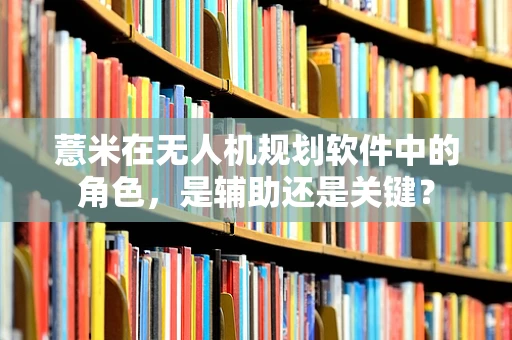 薏米在无人机规划软件中的角色，是辅助还是关键？