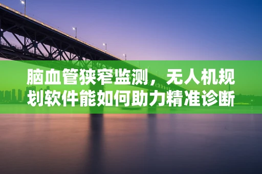 脑血管狭窄监测，无人机规划软件能如何助力精准诊断？