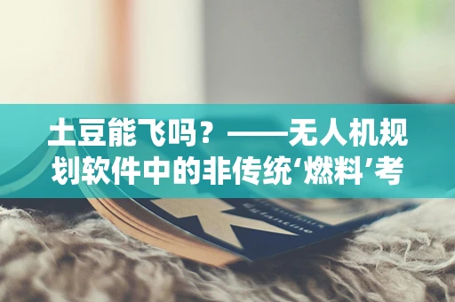 土豆能飞吗？——无人机规划软件中的非传统‘燃料’考量