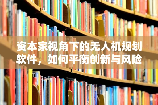 资本家视角下的无人机规划软件，如何平衡创新与风险？