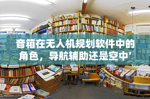 音箱在无人机规划软件中的角色，导航辅助还是空中‘扬声器’？