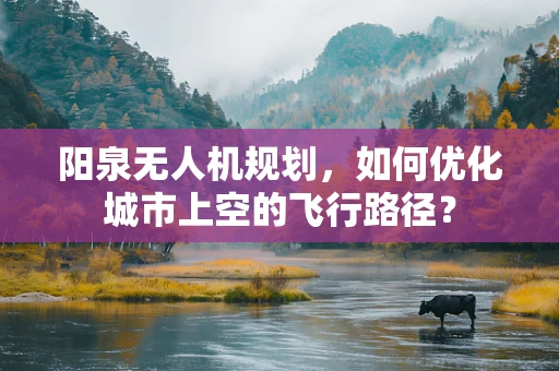 阳泉无人机规划，如何优化城市上空的飞行路径？