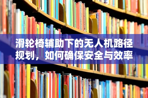 滑轮椅辅助下的无人机路径规划，如何确保安全与效率？