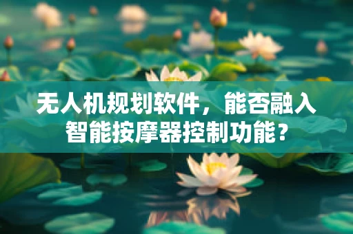 无人机规划软件，能否融入智能按摩器控制功能？