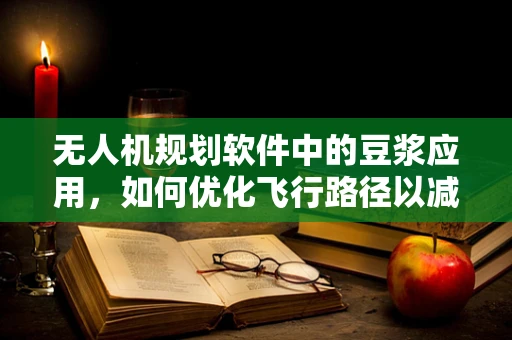 无人机规划软件中的豆浆应用，如何优化飞行路径以减少碰撞风险？