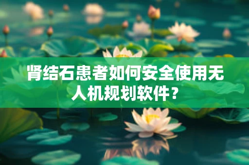 肾结石患者如何安全使用无人机规划软件？