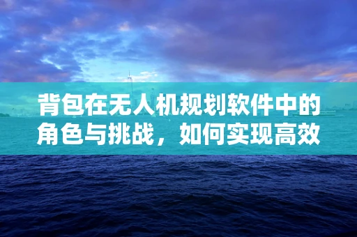 背包在无人机规划软件中的角色与挑战，如何实现高效负载分配？